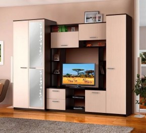 АЛЕКСАНДРА 10 Стенка в Тобольске - tobolsk.ok-mebel.com | фото 2