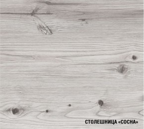 АСАЯ Кухонный гарнитур Экстра 2 (3000 мм) ПМ в Тобольске - tobolsk.ok-mebel.com | фото 8