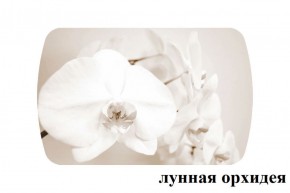 БОСТОН - 2 опоры Триумф в Тобольске - tobolsk.ok-mebel.com | фото 18