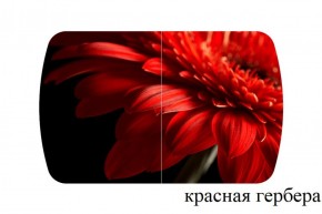 БОСТОН - 2 опоры Триумф в Тобольске - tobolsk.ok-mebel.com | фото 50
