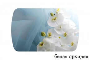БОСТОН - 2 опоры Триумф в Тобольске - tobolsk.ok-mebel.com | фото 52