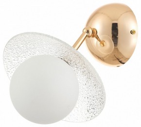 Бра Rivoli Jacqueline Б0066444 в Тобольске - tobolsk.ok-mebel.com | фото