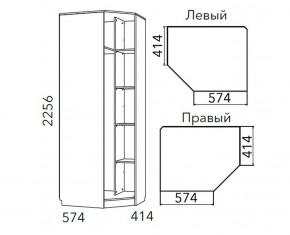 Детская Фанк Шкаф угловой Левый/Правый НМ 013.04-02 М в Тобольске - tobolsk.ok-mebel.com | фото 3