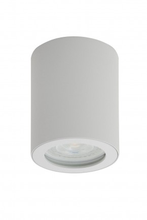DK3007-WH Накладной светильник влагозащ., IP 44, 15 Вт, GU10, белый, алюминий в Тобольске - tobolsk.ok-mebel.com | фото