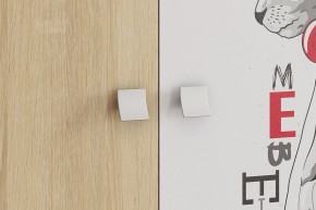 ЭНЕРДЖИ Шкаф 2-створчатый в Тобольске - tobolsk.ok-mebel.com | фото 4