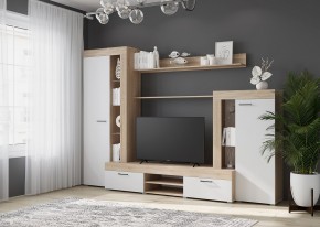 Гостиная Дельта (Сонома/Белый) в Тобольске - tobolsk.ok-mebel.com | фото 3