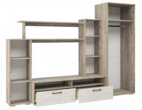 Гостиная Эмма (Дуб Крафт серый/белый) в Тобольске - tobolsk.ok-mebel.com | фото 3
