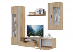 Гостиная Омега (Крафт золотой-Бетон) в Тобольске - tobolsk.ok-mebel.com | фото 4