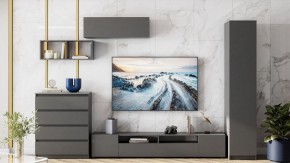 Комод Сибити в Тобольске - tobolsk.ok-mebel.com | фото 5