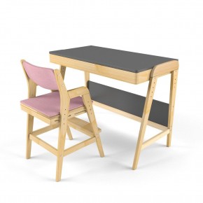 Комплект растущий стол и стул с чехлом 38 попугаев «Вуди» (Серый, Береза, Розовый) в Тобольске - tobolsk.ok-mebel.com | фото