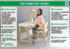 Комплект растущий стол и стул с чехлом 38 попугаев «Вуди» (Серый, Береза, Салют) в Тобольске - tobolsk.ok-mebel.com | фото