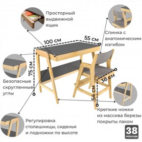 Комплект растущий стол и стул с чехлом 38 попугаев «Вуди» (Серый, Береза, Серый) в Тобольске - tobolsk.ok-mebel.com | фото