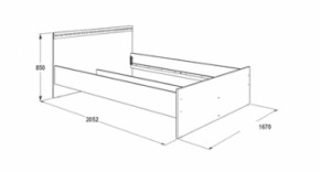 Кровать двойная Ольга-13 + 2-а выкатных ящика (1600) в Тобольске - tobolsk.ok-mebel.com | фото 3