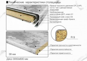 Кухонный фартук со столешницей (А-01) в едином стиле (3050 мм) в Тобольске - tobolsk.ok-mebel.com | фото 6