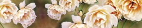 Кухонный фартук Цветы 066 МДФ матовый (3000) Flowers в Тобольске - tobolsk.ok-mebel.com | фото 1
