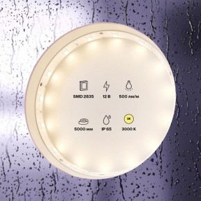Лента светодиодная Maytoni Led strip 10105 в Тобольске - tobolsk.ok-mebel.com | фото 2