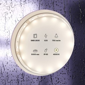 Лента светодиодная Maytoni Led strip 20005 в Тобольске - tobolsk.ok-mebel.com | фото 2