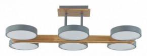 Люстра на штанге Lumion Plato 8031/108CL в Тобольске - tobolsk.ok-mebel.com | фото