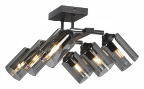 Люстра на штанге Vitaluce V2833 V2833-1/6PL в Тобольске - tobolsk.ok-mebel.com | фото