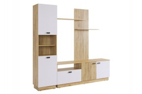 МОДИ К1 Гостиная (белое дерево) в Тобольске - tobolsk.ok-mebel.com | фото 6