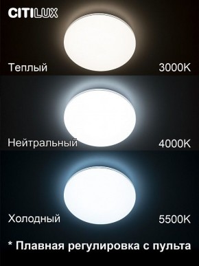 Накладной светильник Citilux Симпла CL714330G в Тобольске - tobolsk.ok-mebel.com | фото 4