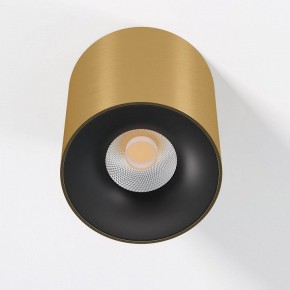 Накладной светильник Elektrostandard Primo 25116/LED в Тобольске - tobolsk.ok-mebel.com | фото 2