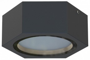 Накладной светильник Favourite Fantum 4667-1U в Тобольске - tobolsk.ok-mebel.com | фото