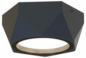 Накладной светильник Favourite Fantum 4670-1U в Тобольске - tobolsk.ok-mebel.com | фото