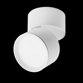 Накладной светильник Lightstar Acuto 215836 в Тобольске - tobolsk.ok-mebel.com | фото 3