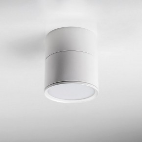 Накладной светильник Lightstar Acuto 215886 в Тобольске - tobolsk.ok-mebel.com | фото 3