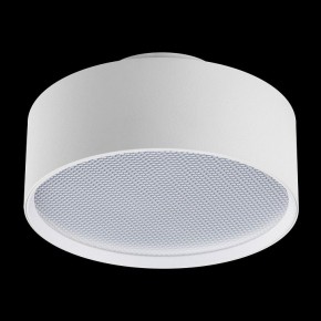 Накладной светильник Lightstar Acuto 215946 в Тобольске - tobolsk.ok-mebel.com | фото 4