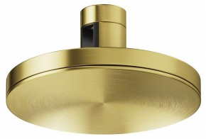 Накладной светильник Maytoni Plato TR152-1-7W4K-BS в Тобольске - tobolsk.ok-mebel.com | фото