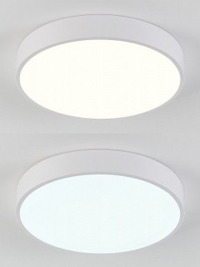 Накладной светильник Natali Kovaltseva  LED LAMPS 81111/5C в Тобольске - tobolsk.ok-mebel.com | фото 4