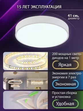 Накладной светильник Natali Kovaltseva  LED LAMPS 81111/5C в Тобольске - tobolsk.ok-mebel.com | фото 5