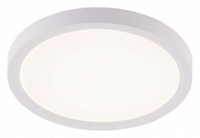 Накладной светильник Natali Kovaltseva PLAIN LED LAMPS 81113/1C в Тобольске - tobolsk.ok-mebel.com | фото