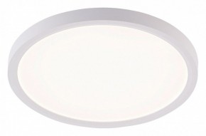 Накладной светильник Natali Kovaltseva PLAIN LED LAMPS 81113/2C в Тобольске - tobolsk.ok-mebel.com | фото