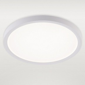 Накладной светильник Natali Kovaltseva PLAIN LED LAMPS 81113/2C в Тобольске - tobolsk.ok-mebel.com | фото 2