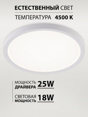 Накладной светильник Natali Kovaltseva PLAIN LED LAMPS 81113/2C в Тобольске - tobolsk.ok-mebel.com | фото 3