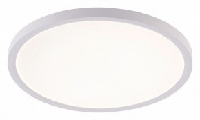 Накладной светильник Natali Kovaltseva PLAIN LED LAMPS 81113/3C в Тобольске - tobolsk.ok-mebel.com | фото