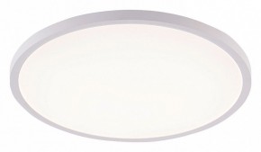 Накладной светильник Natali Kovaltseva PLAIN LED LAMPS 81113/5C в Тобольске - tobolsk.ok-mebel.com | фото