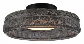 Накладной светильник ST-Luce ANTIKE SL6143.412.01 в Тобольске - tobolsk.ok-mebel.com | фото 2