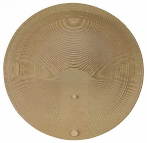 Накладной светильник ST-Luce Fossil SL6900.501.16 в Тобольске - tobolsk.ok-mebel.com | фото