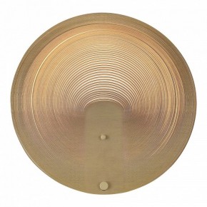 Накладной светильник ST-Luce Fossil SL6900.501.16 в Тобольске - tobolsk.ok-mebel.com | фото 2