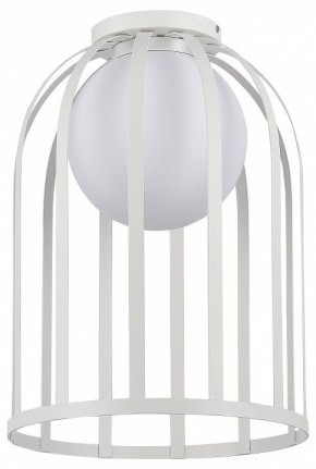 Накладной светильник ST-Luce Nordic SL6129.502.01 в Тобольске - tobolsk.ok-mebel.com | фото