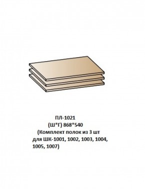 ПЛ-1021 (Комплект полок из 3 шт для ШК-1001, 1002, 1003, 1004, 1005, 1007) в Тобольске - tobolsk.ok-mebel.com | фото