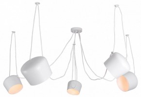 Подвесная люстра Lussole Shirley LSP-8175 в Тобольске - tobolsk.ok-mebel.com | фото