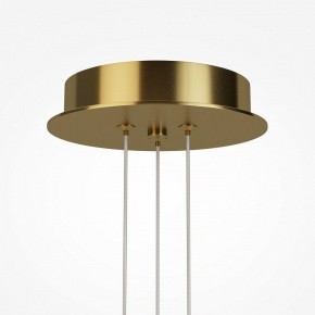 Подвесная люстра Maytoni Arana MOD401PL-L108BS3K в Тобольске - tobolsk.ok-mebel.com | фото 7
