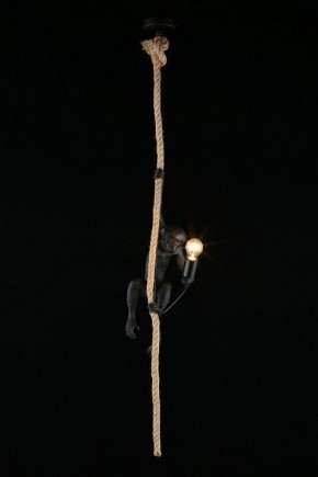 Подвесной светильник Aployt Magali APL.309.16.01 в Тобольске - tobolsk.ok-mebel.com | фото 3