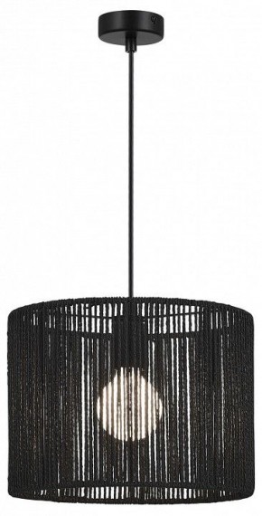 Подвесной светильник EVOLUCE ETTAN SLE6024-403-01 в Тобольске - tobolsk.ok-mebel.com | фото 2
