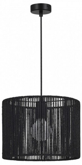 Подвесной светильник EVOLUCE ETTAN SLE6024-403-01 в Тобольске - tobolsk.ok-mebel.com | фото 4